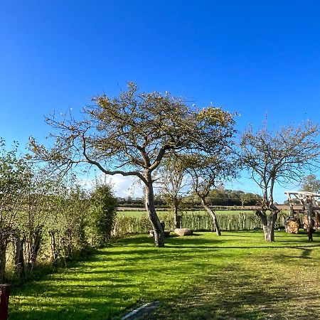 Ferienwohnung „Klueterkamer“ - Hof Muehlenkoppel Hasselberg  Dış mekan fotoğraf